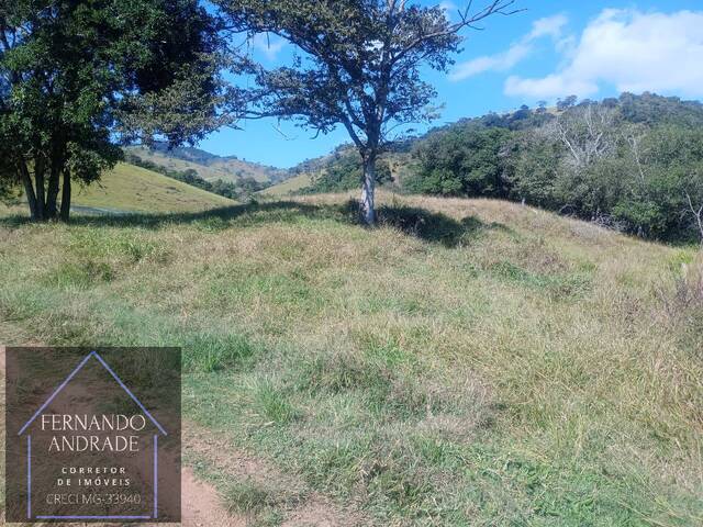 Sítio para Venda em Cachoeira de Minas - 3