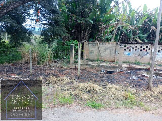 #3252 - Área para Venda em Pouso Alegre - MG - 3