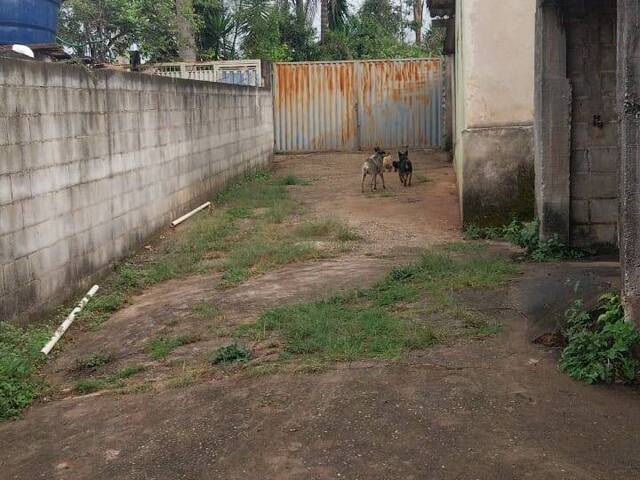 #3253 - Chácara para Venda em Pouso Alegre - MG - 1
