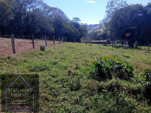 Venda em Pantano  - Pouso Alegre