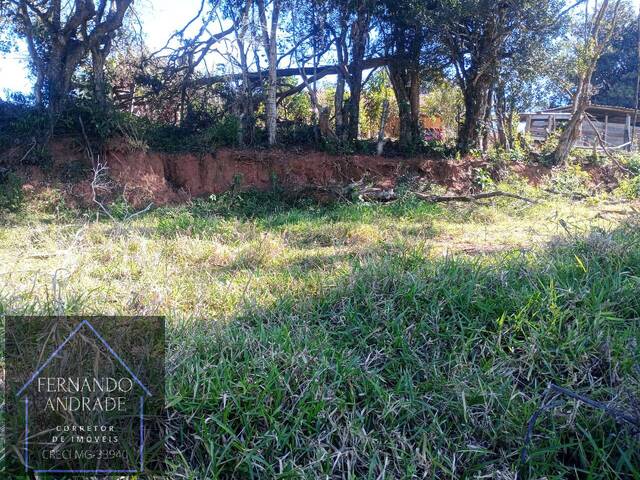 Venda em Pantano  - Pouso Alegre