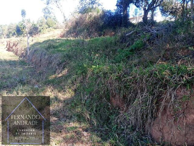Terreno para Venda em Pouso Alegre - 4