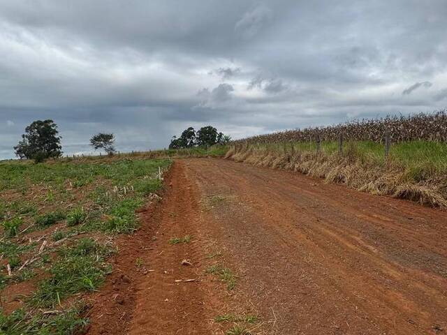 Terreno para Venda em Pouso Alegre - 4