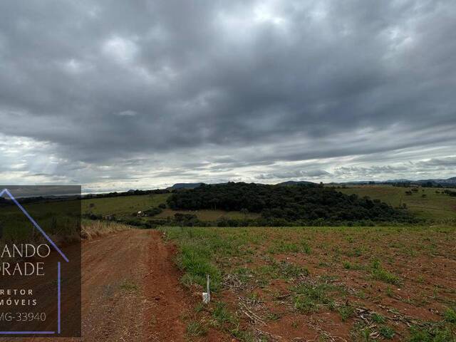 Venda em Cajuru  - Pouso Alegre