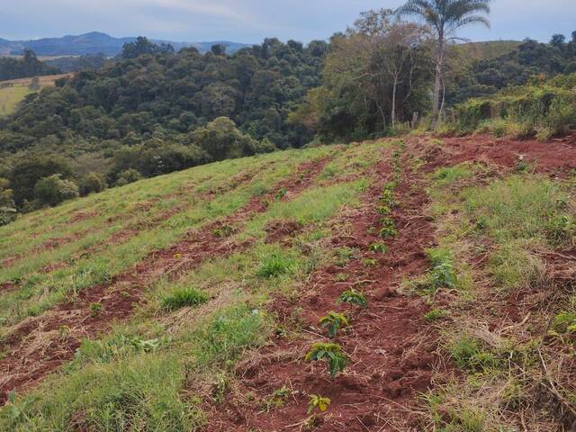 Sítio para Venda em Turvolândia - 5