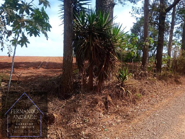 Área para Venda em Pouso Alegre - 2
