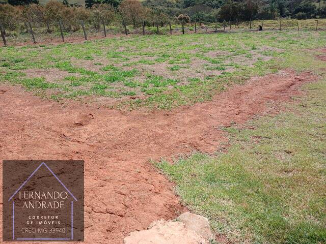 #3289 - Terreno para Venda em Cachoeira de Minas - MG - 3