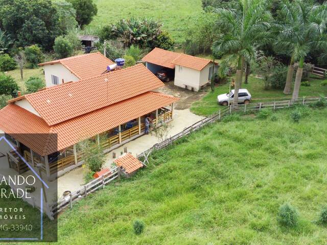  para  em  - 5