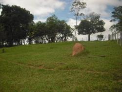 Área para Venda em Pouso Alegre - 1