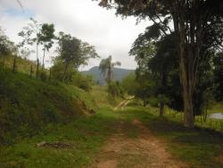 Sítio para Venda em Borda da Mata - 4