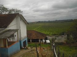 Sítio para Venda em Borda da Mata - 5